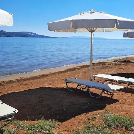 Lägenhet Alekos Houses-alekos Complex Lixouri