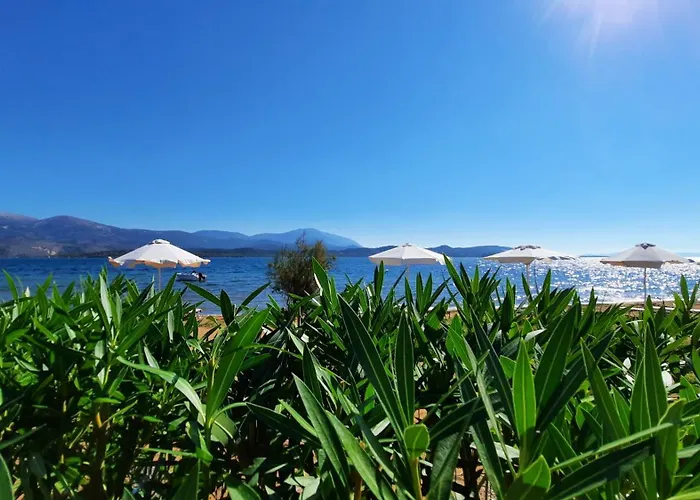 Alekos Houses-alekos Complex Lixouri