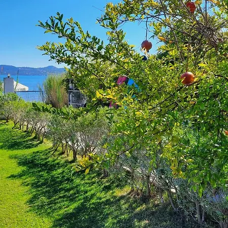 Alekos Houses-alekos Complex Lixouri