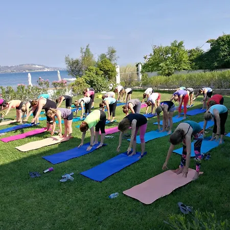 Alekos Houses-alekos Complex