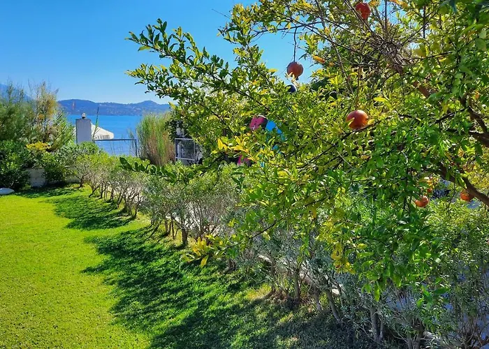 Alekos Houses-alekos Complex Lixouri